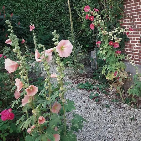 Ritte Bed & Breakfast Dendermonde